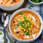 Chicken Enchilada Soup